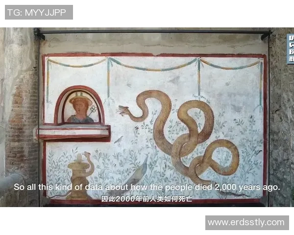 探寻足球明星的豪宅秘密揭开他们的家在哪里的神秘面纱 探寻足球明星的豪宅秘密揭开他们的家在哪里的神秘面纱